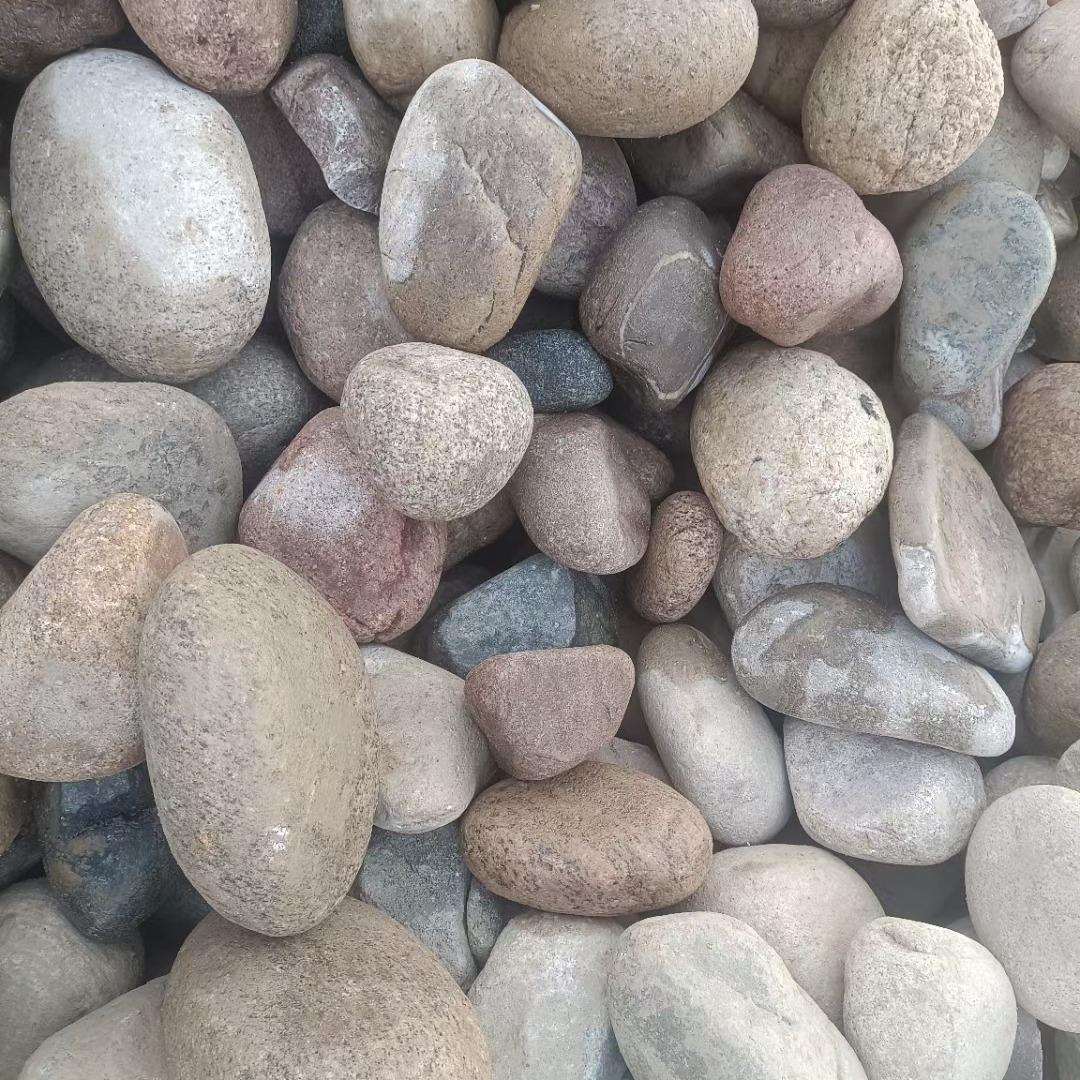 天子鹅卵石头路石园艺布CHV景石鱼缸铺雨花然石鹅暖石铺地