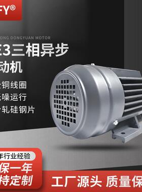 三相异步电动机YE3-160M/L-6极电机380V7.5/11W975r/min马达