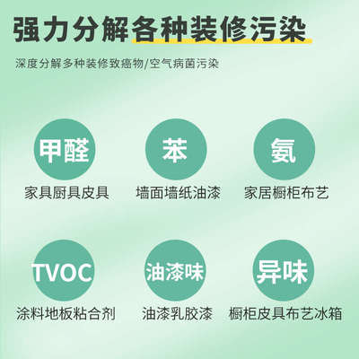 家用小型臭氧消毒机除甲醛异味负离子活氧空气净化发生器除臭除菌