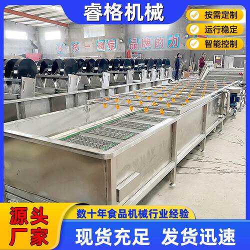 厂家供应商用葡萄圣女果自动传输清洗机大型鼓泡红枣气泡冲浪机