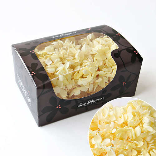 玻璃罩绣球级bg54a整盒花20国产克配搭配diy花盒装饰出口级花木