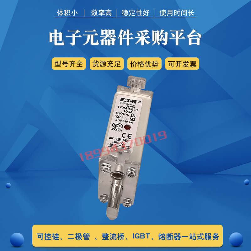 快速熔断器保险丝170M1566D /1567/1568/1568D/1569/1569D/1570