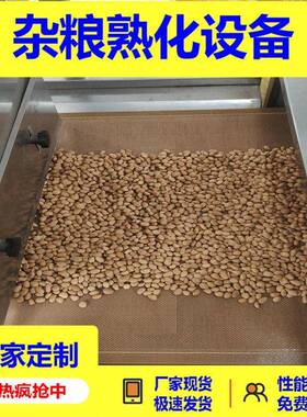 燕麦片五谷杂粮烘干杀菌设备杀虫卵不锈钢隧道式干燥熟化机多种