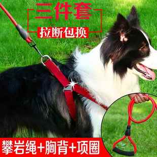 边境牧羊犬遛狗绳牵狗绳 边牧牵引绳胸背带中小型犬狗项圈套装