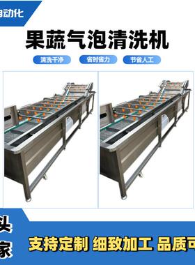 多功能小龙虾清洗设备果蔬气泡清洗机生蚝全自动清洗