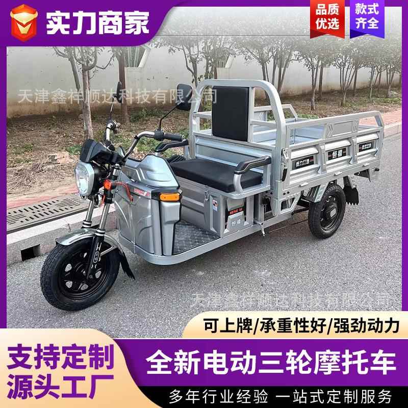 电动三轮车拉货载重王电瓶车成人载货新国标可上牌车厂家直销