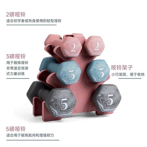 哑铃哑铃架组合套装2lb 3lb 5lb配三层哑铃架力量训练器材健身房