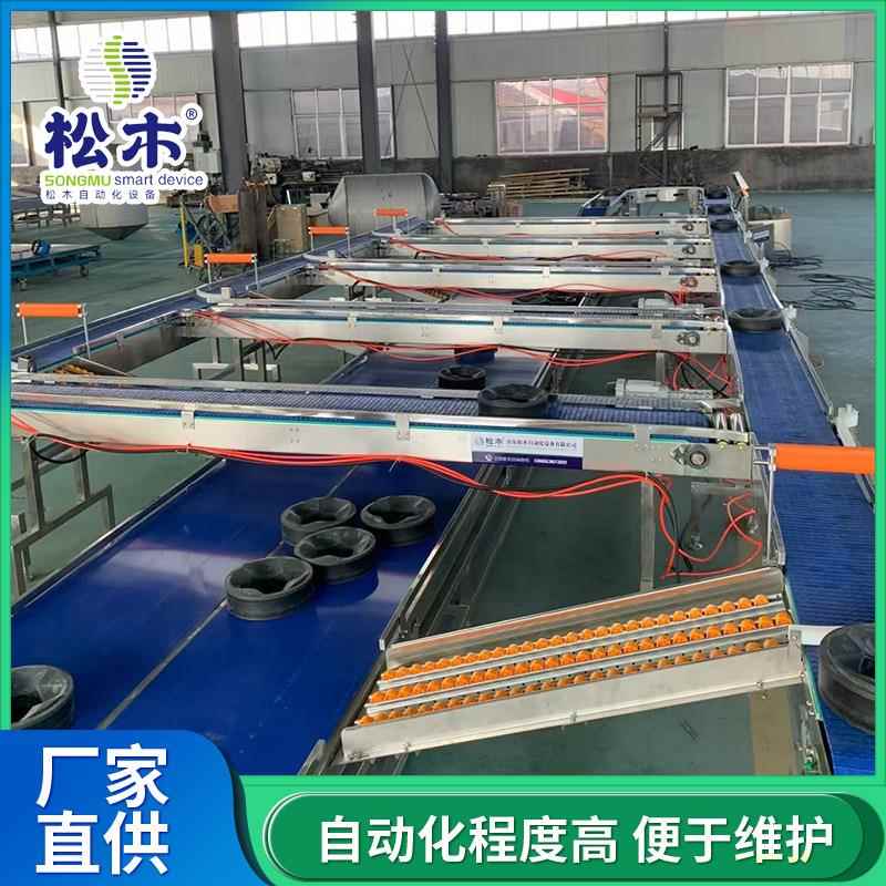 麒麟瓜分选流水线 蔬菜水果 榴莲重量分选机 厂家直供价格优惠