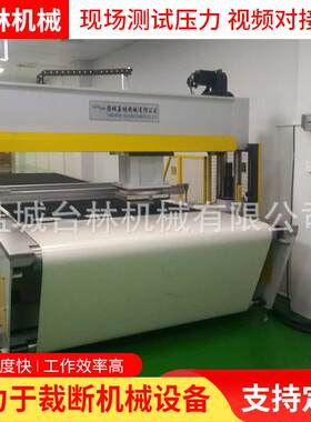 货源产地液压机械移动头裁断机皮带式面膜下料机吨位全