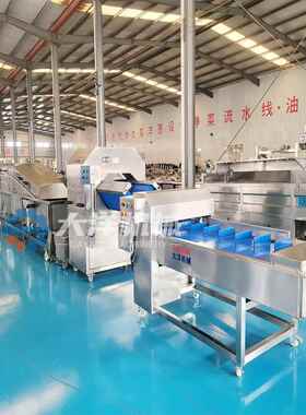 大洋净加工水线出RVC成率高全自动蔬流菜菜加工生产线菜蔬深加工