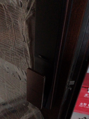 三星指纹锁DP738怎么样用后两周开始后悔了是吗?