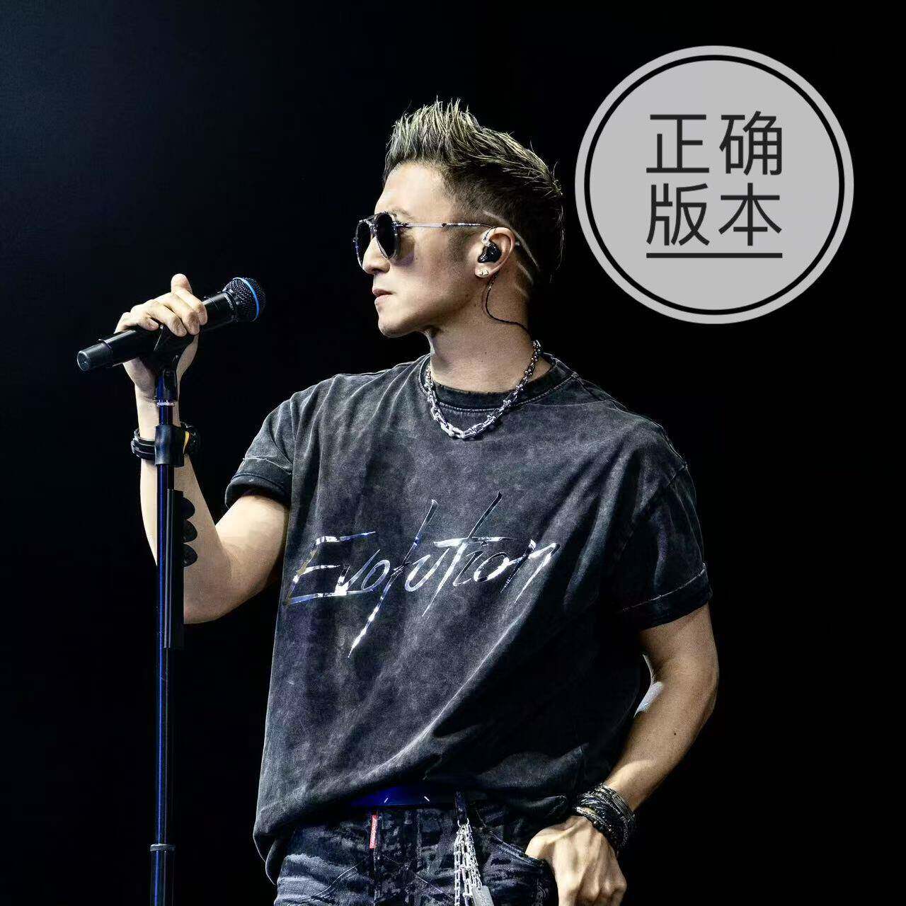 2025进化演唱会谢霆锋同款T恤短袖evolution春夏男女纯棉做旧衣服