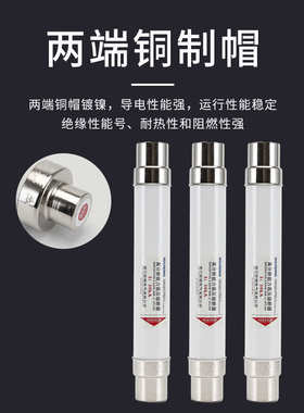 XRNT10-12KV高压限流熔断器箱变保险管丝10A20A40A50A63安80A100A
