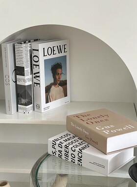 北欧简约ins假书彷真书装饰品摆件书柜书房样板房书本桌面装饰书