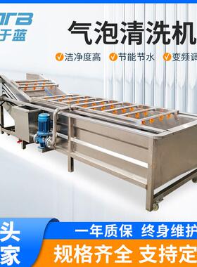 气泡去杂清洗机清洗机大虾小龙虾清洗机厂家现货供应