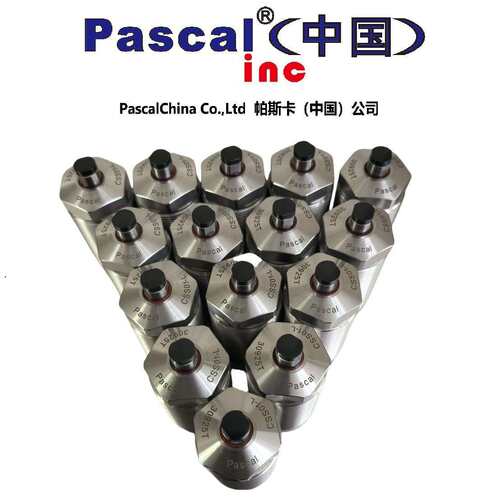 Pascal帕斯卡中国公司 气动支撑缸CSS005-L,CSS01-L,CSS02-L,现货