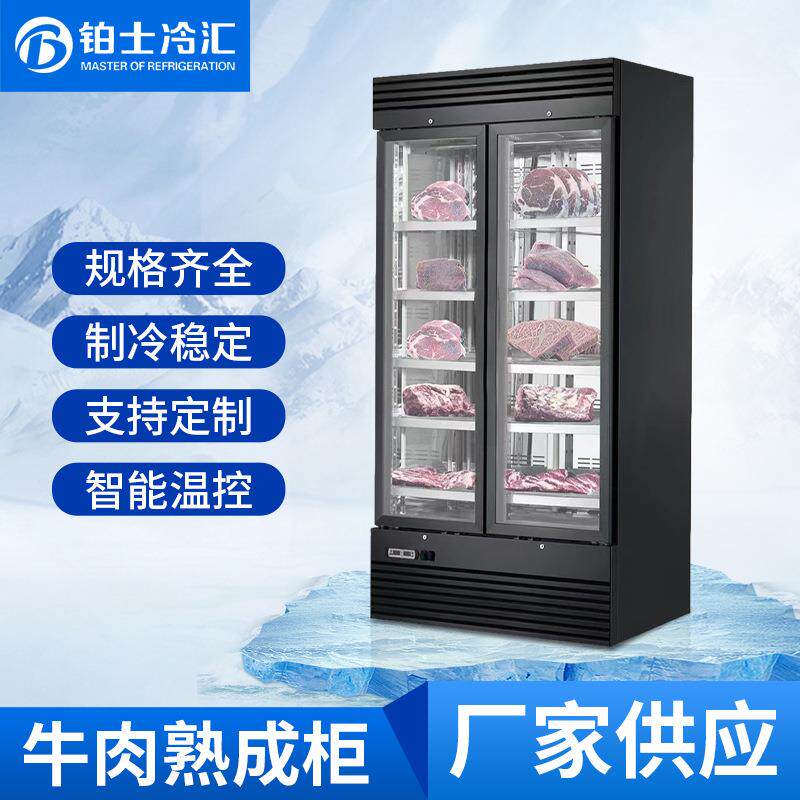 工厂直销海鲜姿造冷藏柜高端牛排冷冻柜熟成柜冷藏立式不锈钢冰柜
