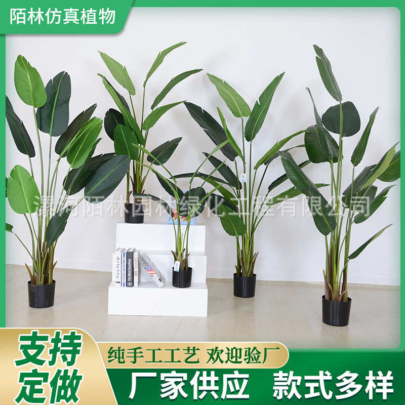 室内盆景假树落地北欧家居装饰植摆件办公室植物仿真旅人盆栽蕉绿