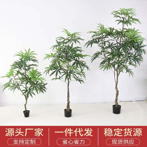 新款直销仿真植物孔雀木办公室客厅落地摆件商场造景装饰假树家居