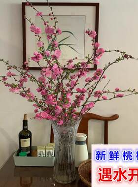 新品桃花枝泡水开真花水养新鲜装饰插花瓶干树枝柳枝干花包花遇水