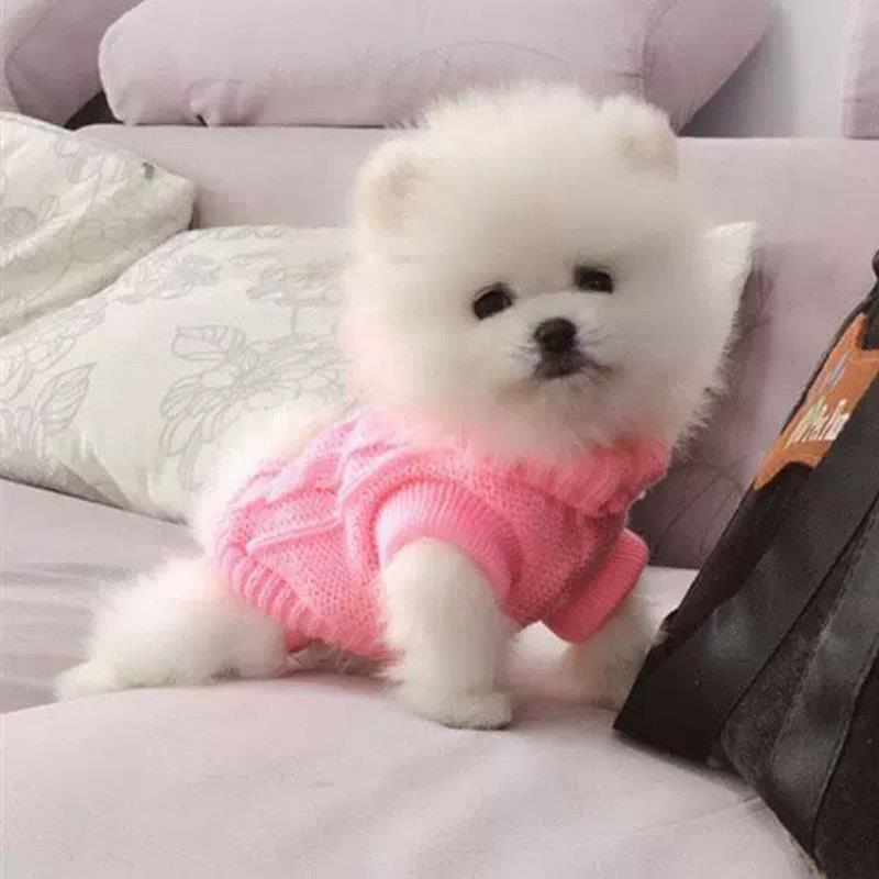 超小体犬约克夏专用衣服茶杯犬小狗狗奶狗穿的毛衣冬天秋冬季幼犬