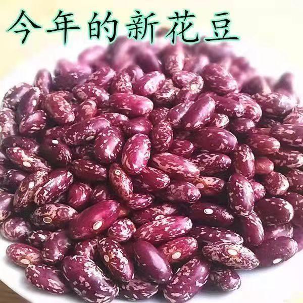 贵州酸菜豆米 新花豆 云豆 芸豆花豆子新四季豆 四季豆米9斤包邮
