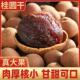 今年新桂圆乾无核龙眼肉正宗桂圆肉罐装 补气血桂圆肉厚泡水煲汤