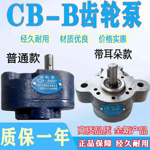 CB-B6恒立液压b10油泵b125齿轮泵b25/b40/b50/b63钢齿轮泵b80/100