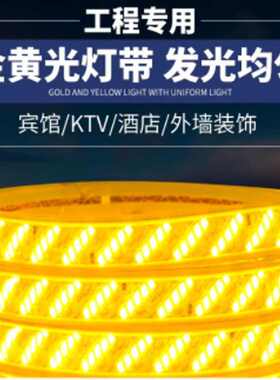 220v户外灯带led超亮防水客厅屋檐外墙专用灯条工程室外暖光金黄