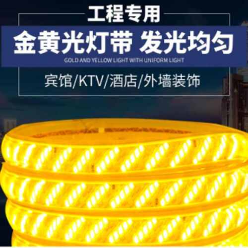 220v户外灯带led超亮防水客厅屋檐外墙专用灯条工程室外暖光金黄
