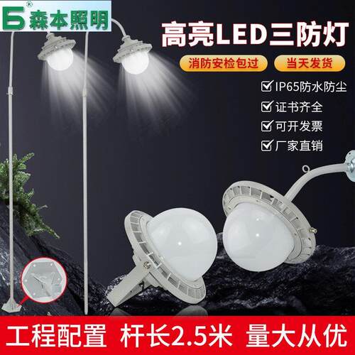 森本（SENBEN）LED防爆防水防腐三防平台灯杆路灯照明灯发电站化