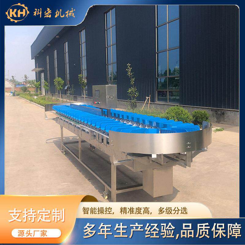 科宏龙虾分选机在线称重分拣龙虾设备海鲜产品分级机源头厂家
