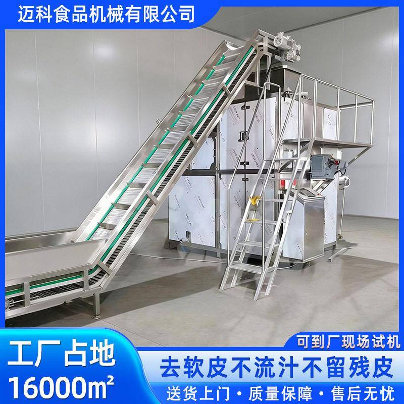 番茄西红柿蒸汽去皮机黄桃葡萄头果蔬深加工预处理土豆脱皮机