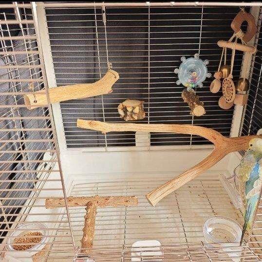 野梨木适用于虎皮牡丹天然鹦鹉玄凤木头坚硬耐啃食可选货配螺丝发