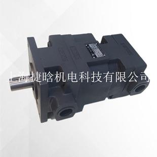 中高压叶片泵 6.3 液压油泵 D31.5 供应YB