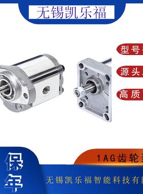 压齿轮泵1AG1P02R 采煤机油泵1AG1P07R 油压机油泵1AG1P11R