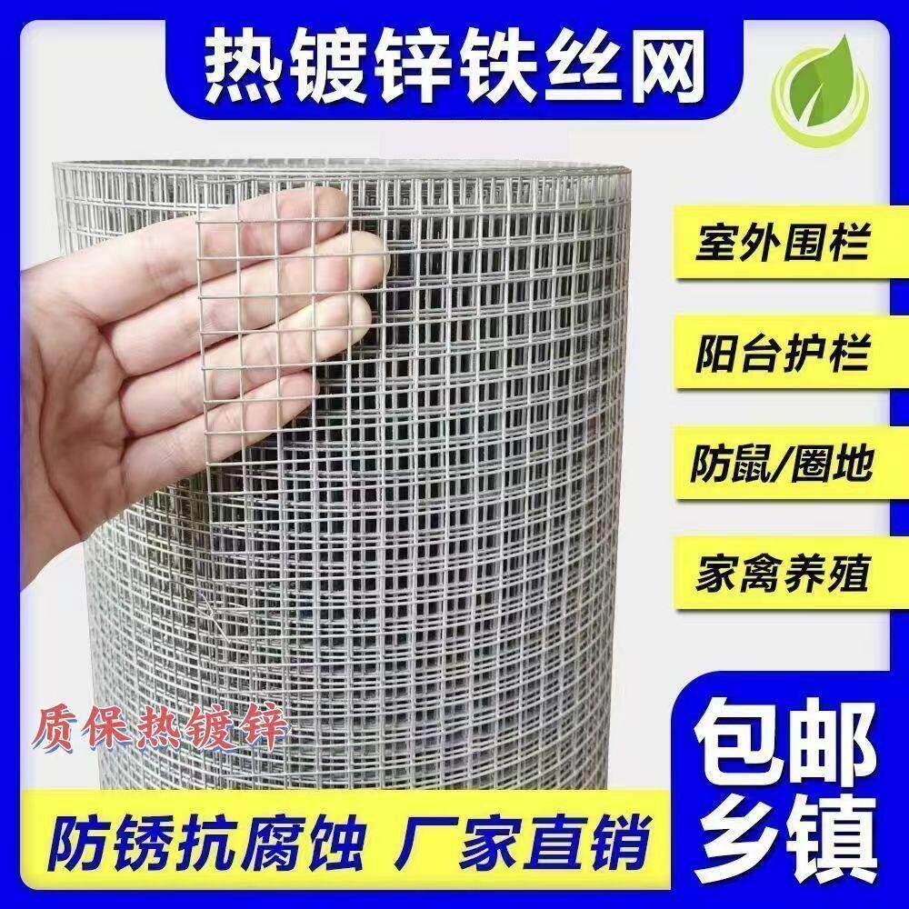 热镀锌铁丝网防绣钢丝网围栏鱼塘防护网大眼鸡栏栅铁丝网格漏粪网