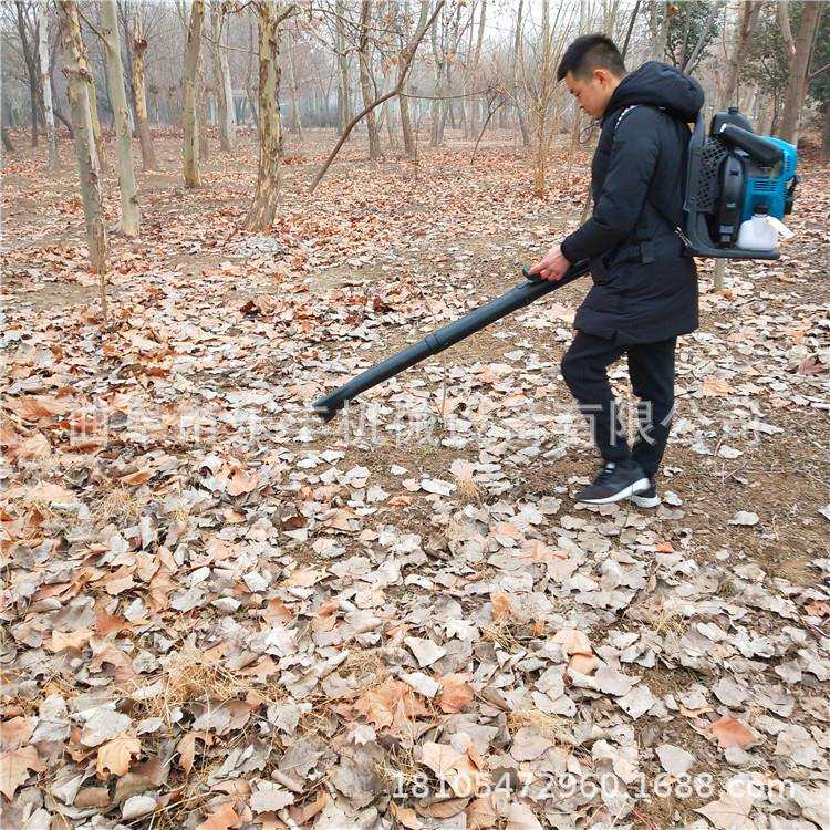 大功率道路吹雪机 绿化落叶路面吹风机价格 背负式风力灭火机