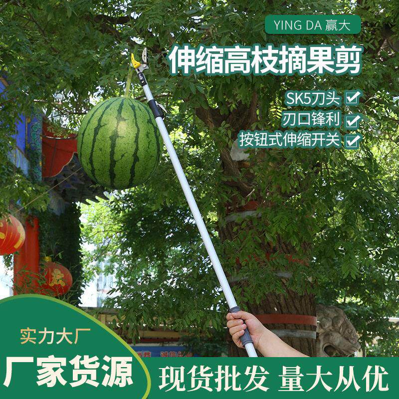 欧美德国进口技术赢大伸缩高枝摘果剪 加长高空剪摘果器采果剪 伸