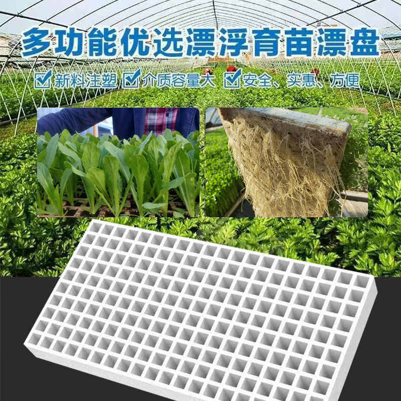 漂浮泡沫板水上种植育苗盘加厚果蔬辣椒西瓜玉米草莓专用育苗盘,鲜花速递/花卉仿真/绿植园艺,花盆,淘宝优惠券,粉丝福利购,淘宝优惠卷