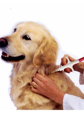 宠物，狗和猫海外芯片，分入口芯片，符合Iso 11784/11785国际标