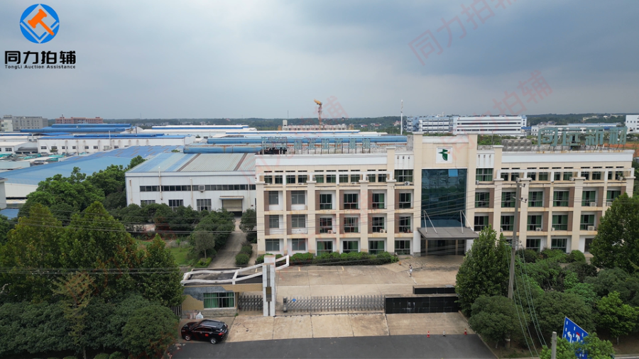 2月6日长沙循环工业基地一宗工业用地、11栋房产（7栋无产权）及附属设网络拍卖公告