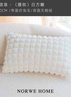 高档NORWE沙发抱客厅式高法级感靠枕枕枕套枕芯粉色布飘艺靠背窗