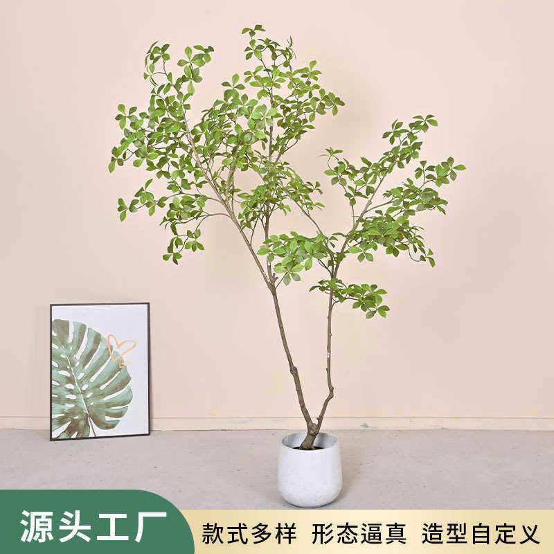 仿真绿植栀子树北欧大型橱窗造景盆栽摆件室内客厅装饰网红植物,鲜花速递/花卉仿真/绿植园艺,仿真绿植,淘宝优惠券,粉丝福利购,淘宝优惠卷