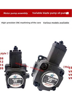 适用液压油泵电机组VP20+0.75KW1.5液压泵总成内轴电机液压站配件