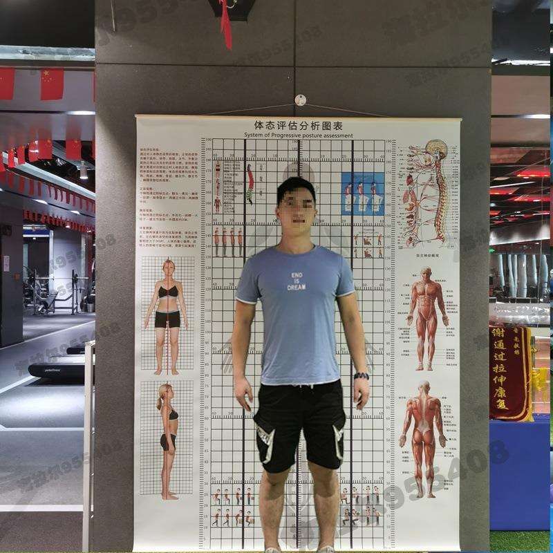体态评估表挂式贴式体测表身体评估表瑜伽私教身体矫正网格对比