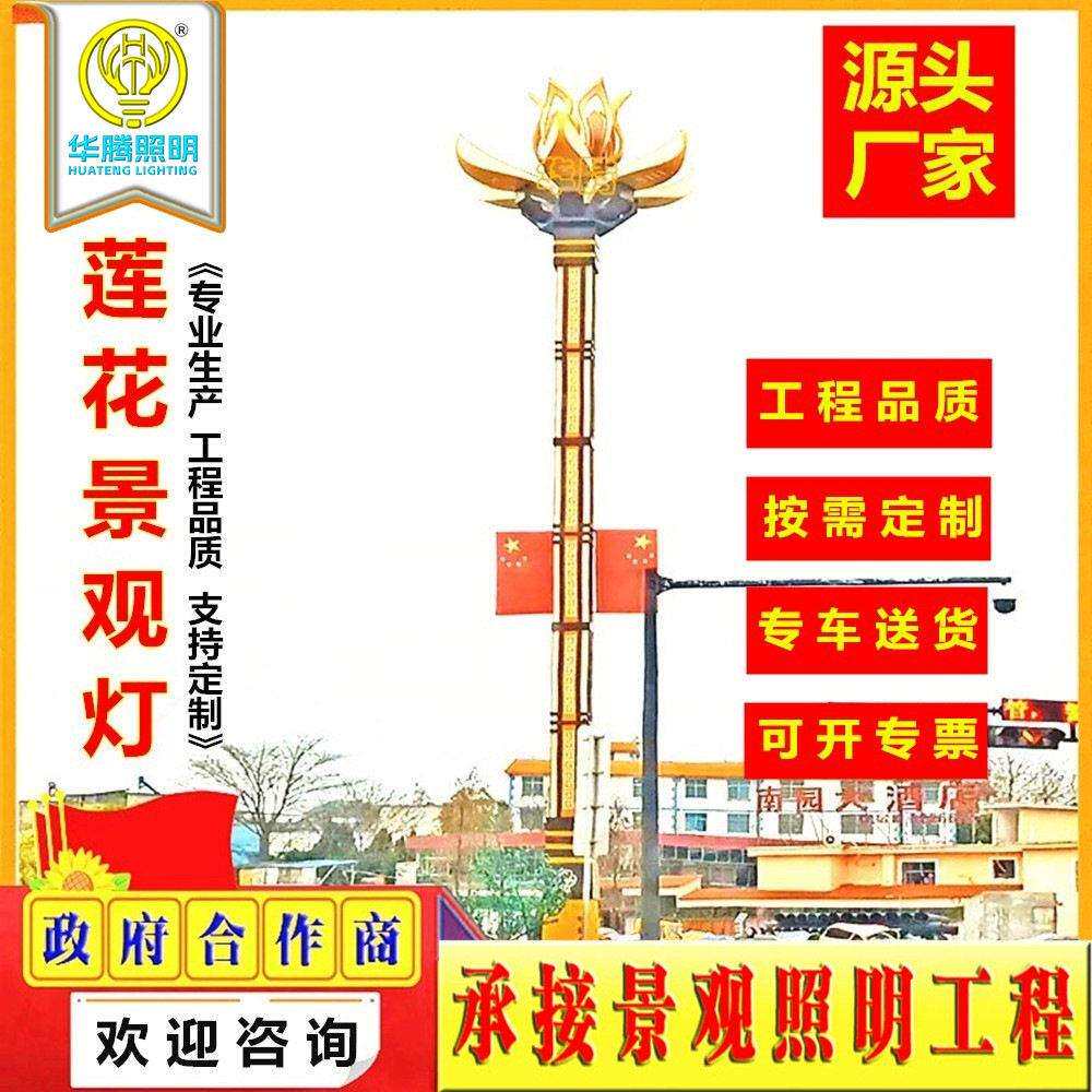 中华灯市政工程广场景观灯8-12米景区户外灯路灯杆道路led灯