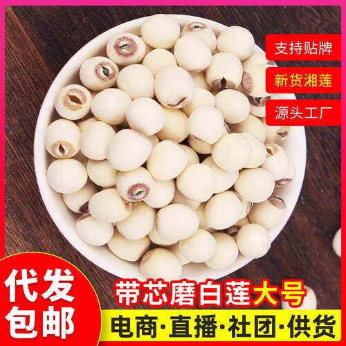 湖南湘莲带芯磨白莲500大带芯磨皮莲子羹煲汤白莲子发包邮