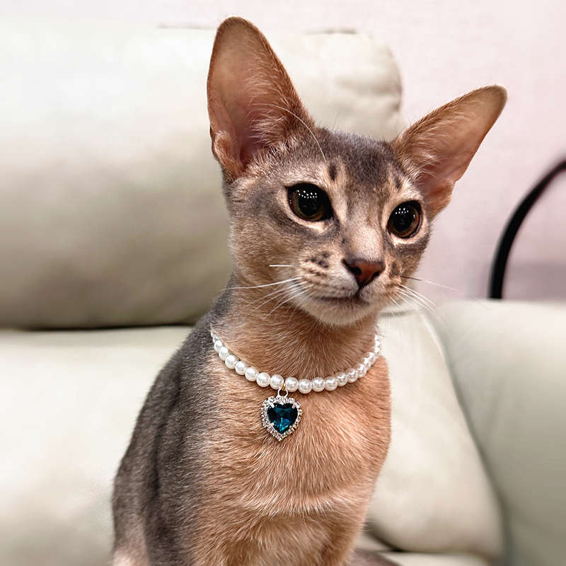 猫咪珍珠项圈猫咪项链宠物用品装饰复古宝石德文阿比西尼亚猫饰品