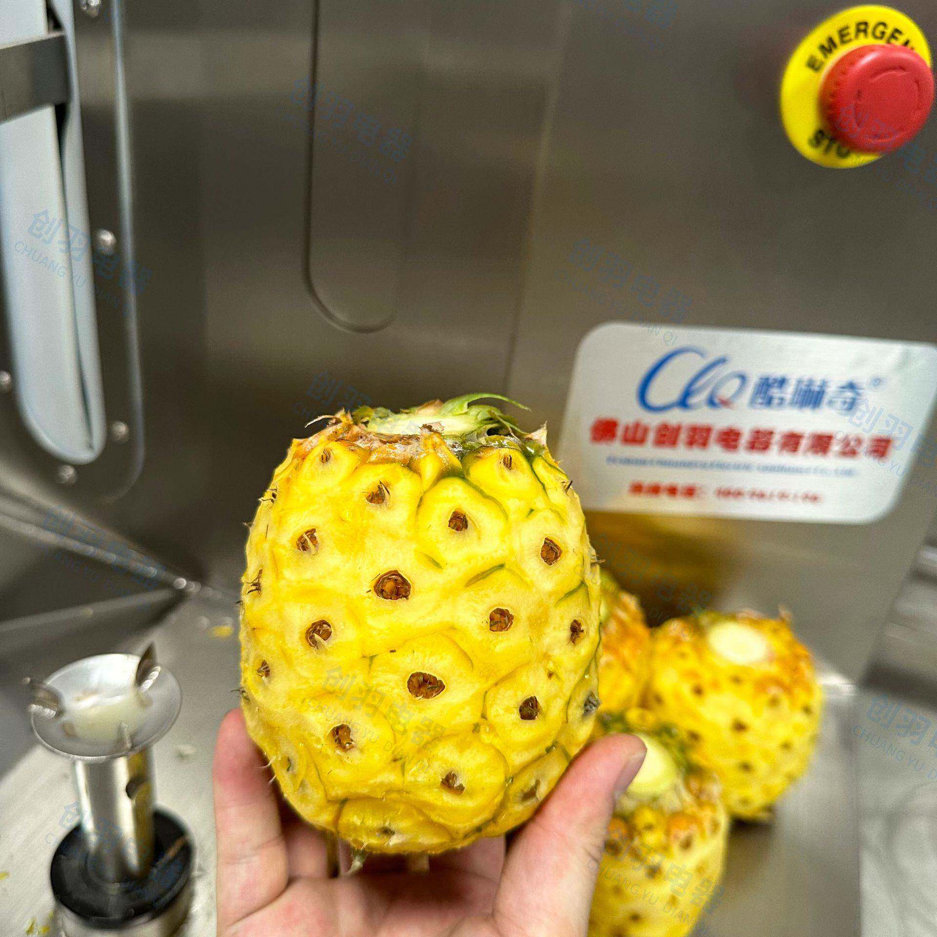 Y气动泰国小菠萝削皮机电动荔浦芋头刨皮机老椰子椰皇去皮机